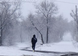  Житель Камышина осужден за приготовление к государственной измене