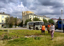 В Камышине бригады "Благоустройства" взялись вдохнуть вторую жизнь в привядшие клумбы