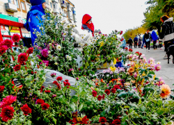 Рынки хризантем в Камышине очаровывают дачников и садоводов