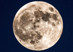 Астрологи советуют камышанам показать сегодня ночью  "Бобровой Луне" свой пустой кошелек, чтобы "притянуть" богатство