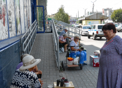 В Камышине дачники осваивают новые рынки на земле