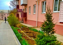 Администрация Камышина позитивно оценивает ход месячника благоустройства