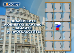 На пике предвыборной гонки «Блокнот Камышин» предлагает читателям назвать самую достойную партию