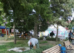 Если разрешили рынок у "Победы", но надо же и мусор там кому-то убирать? - камышанин