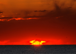 Камышинский городской суд заключил под стражу воительницу с ножом, заколовшую своего возлюбленного