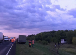 Три человека скончались на месте столкновения иномарки с автобусом сегодня утром на московской трассе
