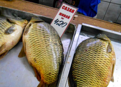 На камышинском рынке сазан приблизился по цене к свинине "на ребрышках"
