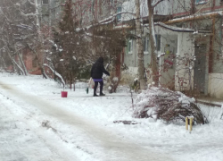 Когда все, кто мог упасть, уже упали на льду, в Камышине проснулись дворники, - камышанка