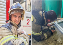 Ролик со спасенным из горящего дома котенком разволновал жителей Волгоградской области (ВИДЕО)