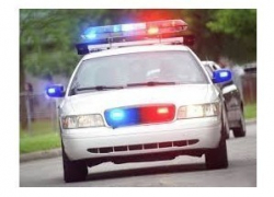 За хамское поведение с полицейским "смельчак" пойдет под суд в Камышине