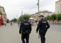 Жителям Волгоградской области рассказали, будут ли мобилизовать полицию, Росгвардию и МЧС 