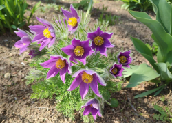 Камышан будет испытывать на прочность космический шторм в выходные