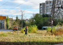 В Камышине "Благоустройство" запустило вторую волну городского покоса