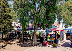 Статистики заявили, что в Волгоградской области жители зарабатывают по 65 тысяч рублей в месяц 