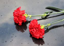 Камышанин Михаил Соколов погиб на линии соприкосновения