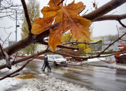 Прощание с первым снегом: дождливо, пасмурно и тепло будет в Камышине 28 октября