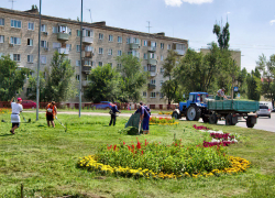 В Камышине службы благоустройства вышли выкашивать траву на цветнике на площади Героя России Александра Колгатина