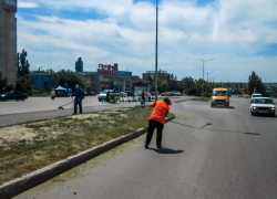 В Камышине "Благоустройство" занялось покосом на разделительных полосах и обочинах
