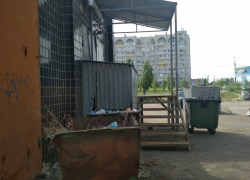 Камышане просят магазин-сетевик убрать у них "из-под носа"  мусорные баки
