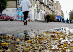 В Камышине полицейские задержали подозреваемого в краже денежных средств