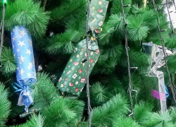 Специалисты напомнили камышанам, как надо покупать детям сладкие новогодние подарки, и сколько можно съесть в день из праздничного кулька