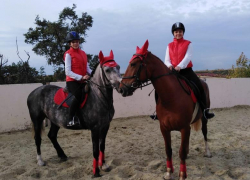 Пусть рысь, а не галоп, но столько позитива!