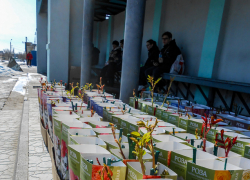 Тепло и солнечно: погода в Камышине на воскресенье 15 марта