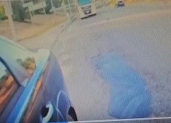 Сотрудники Госавтоинспекции в Камышинском районе задержали незарегистрированную автомашину из Пермского края (ВИДЕО)