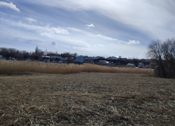 В Камышине скосили пожароопасные заросли камыша в Кирпичном овраге, но только частично