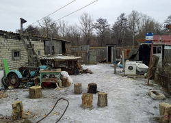 В Камышинском городском суде прозвучал приговор жителю села Нижняя Добринка, зарубившему на шашлык собаку-спасателя