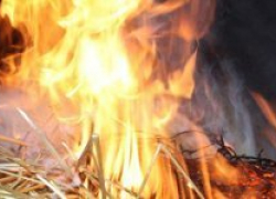 В Петровом Вале Камышинского района сегодня ночью сгорел стог сена