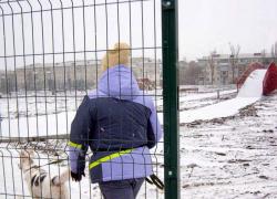 Морозно и снежно: погодная повестка в Камышине на 5 января и ближайшие дни