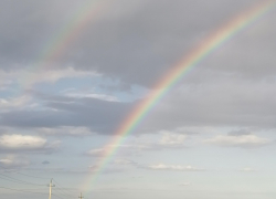 Сегодня, 7 мая, у границы Ольховского и Камышинского районов небо украсила двойная радуга