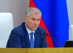 Спикер Госдумы Вячеслав Володин попросил проверить данные о пытавшихся уехать во время мятежа госслужащих