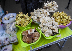 На камышинских рынках случился декабрьский грибной бум