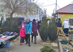В предновогодние дни в Камышине чаще фиксируются всплески ковида - 22 декабря 35 новых пациентов и новая смерть 