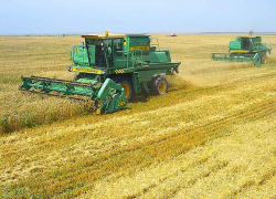 Стали известны кандидатуры на должность главы Камышинского района: депутатам районной думы их представят завтра, 18 ноября