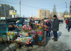 В Камышине продолжается "тюльпанно-мимозное" столпотворение