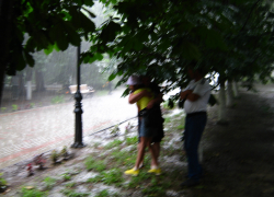 Сильный шторм накроет Волгоградскую область: срочное предупреждение распространило МЧС 