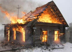 В селе Торповка Камышинского района в огне пожара погибли животные