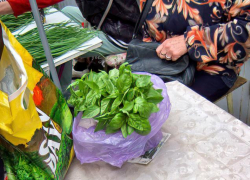 Россиянам предложили купить стаж, которого не хватает для страховой пенсии