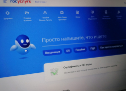 Жители Волгоградской области пожаловались на «легшие» «Госуслуги» в первый день выборов, - "Блокнот Волгограда"