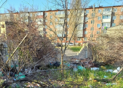 Чиновники Камышина требуют от горожан нанимать спецтранспорт для вывоза веток или технику для их измельчения, но к мусоркам с ними не приближаться!