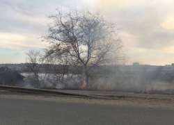 В Камышине огонь добрался от элеватора до дороги на Рязано-Уральской, пока не удается потушить полыхающую траву