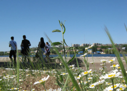 Стало известно, сколько зарабатывают директора камышинских колледжей, - вернее, директор