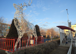 Паблик "Жесть. Камышин", не проверяя фактов, решил "подогреть" критическую заметку... оленем