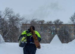 Камышан подстерегает гонконгский грипп