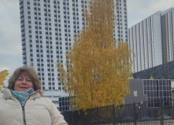 Собери букет по листику,  если хочешь в журналистику   