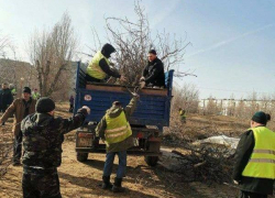 МБУ "Благоустройство" проинформировало, что на минувшей неделе из города вывезено 50 тонн мусора, и это только начало