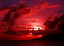 Муниципальное телевидение Камышина сообщает о 48-летней женщине, которая свела счеты с жизнью